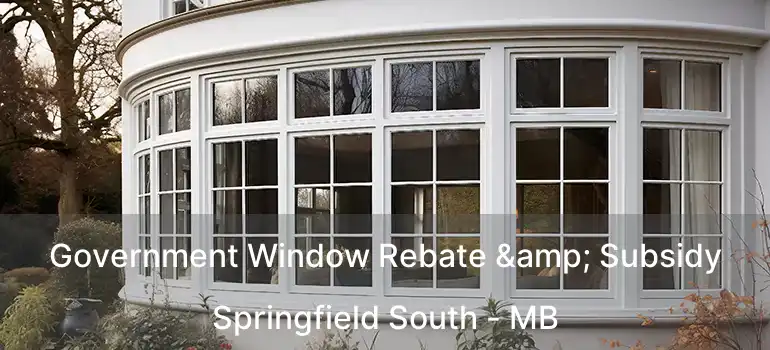 Government Window Rebate & Subsidy Springfield South - MB