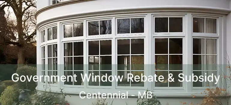 Government Window Rebate & Subsidy Centennial - MB