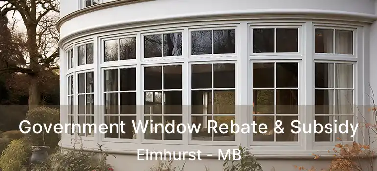 Government Window Rebate & Subsidy Elmhurst - MB