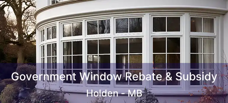 Government Window Rebate & Subsidy Holden - MB