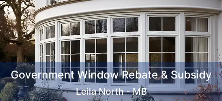 Government Window Rebate & Subsidy Leila North - MB