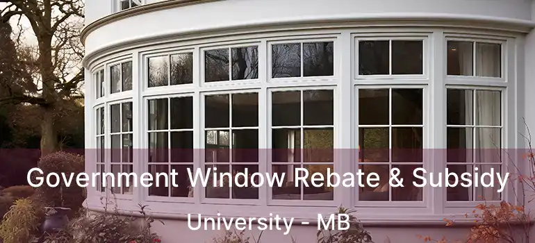 Government Window Rebate & Subsidy University - MB