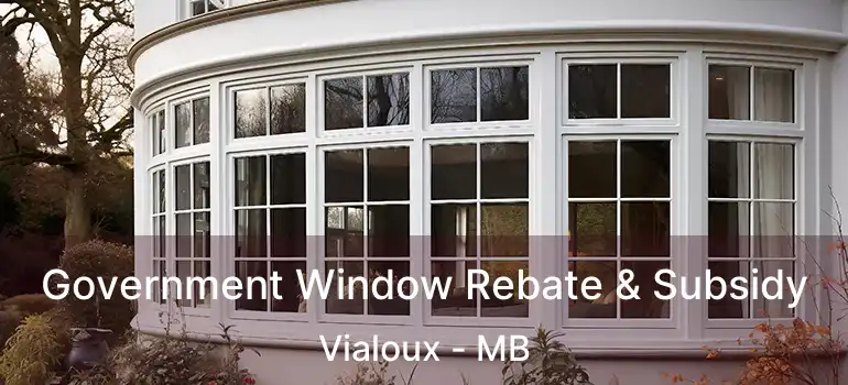 Government Window Rebate & Subsidy Vialoux - MB