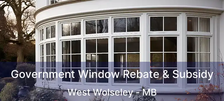 Government Window Rebate & Subsidy West Wolseley - MB