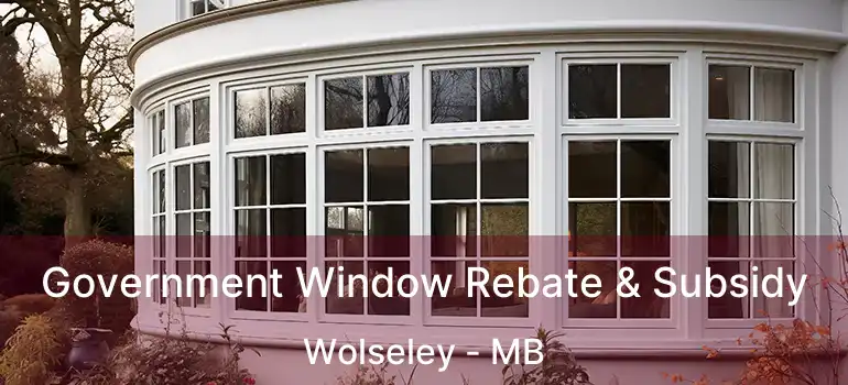 Government Window Rebate & Subsidy Wolseley - MB