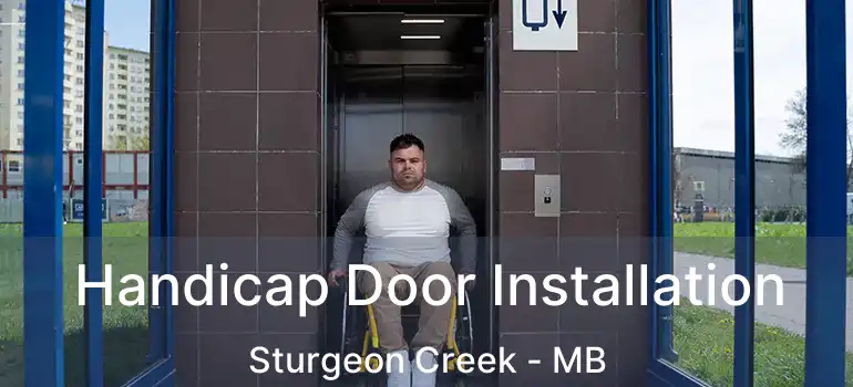  Handicap Door Installation Sturgeon Creek - MB