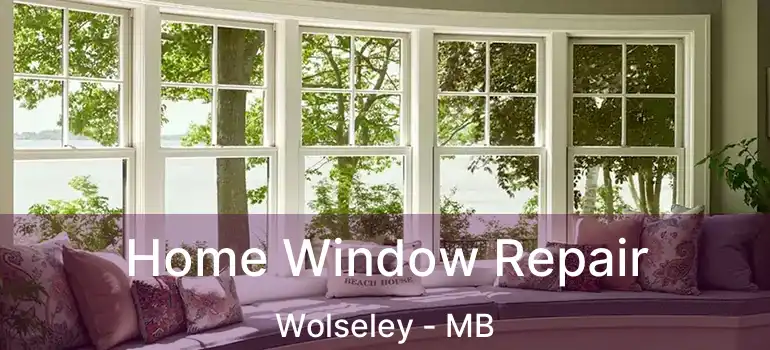  Home Window Repair Wolseley - MB