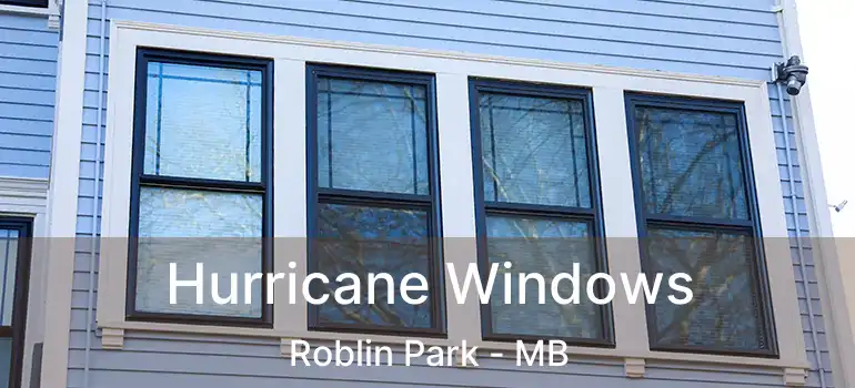 Hurricane Windows Roblin Park - MB