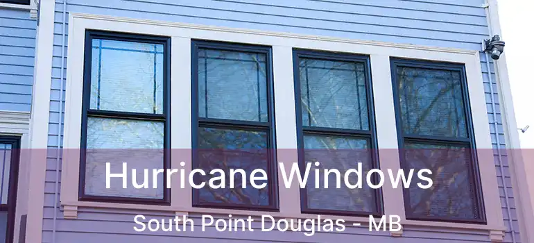  Hurricane Windows South Point Douglas - MB