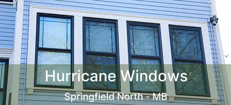  Hurricane Windows Springfield North - MB