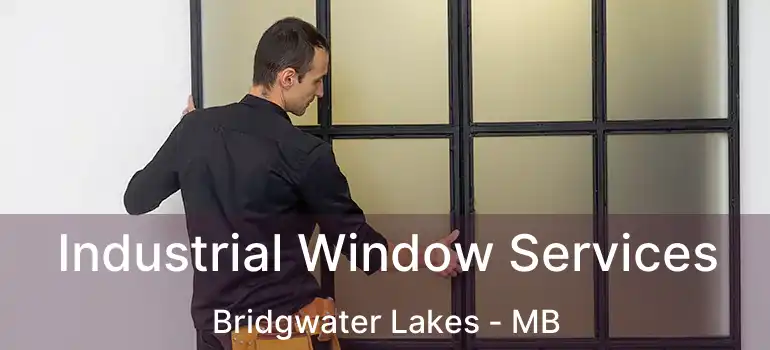  Industrial Window Services Bridgwater Lakes - MB