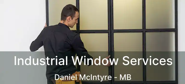 Industrial Window Services Daniel McIntyre - MB