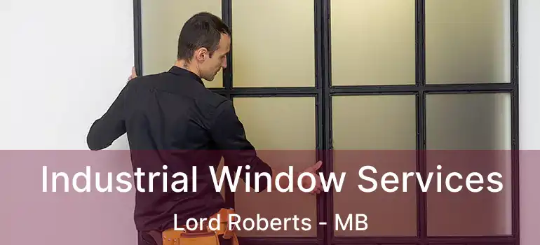 Industrial Window Services Lord Roberts - MB