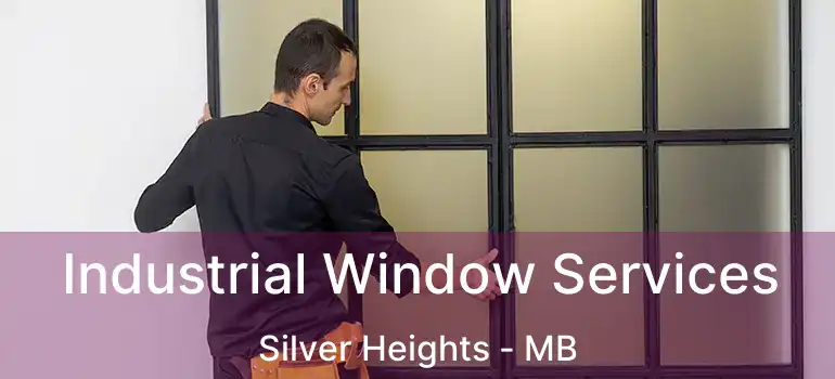  Industrial Window Services Silver Heights - MB