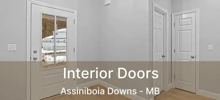 Interior Doors Assiniboia Downs - MB