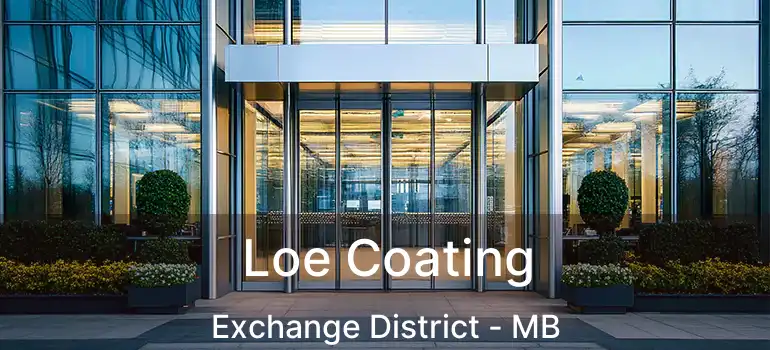  Loe Coating Exchange District - MB