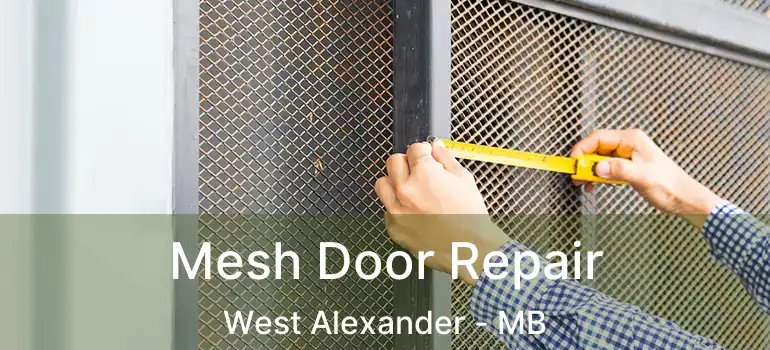 Mesh Door Repair West Alexander - MB