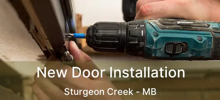  New Door Installation Sturgeon Creek - MB