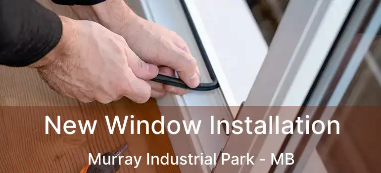 New Window Installation Murray Industrial Park - MB