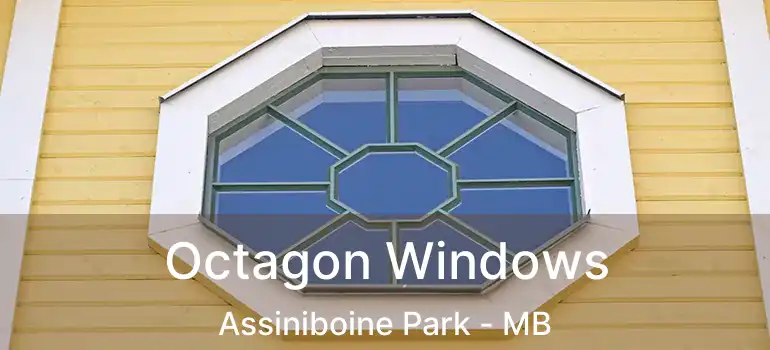  Octagon Windows Assiniboine Park - MB