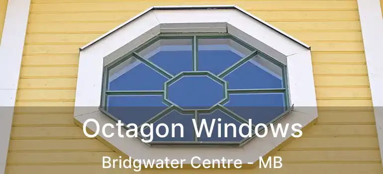  Octagon Windows Bridgwater Centre - MB