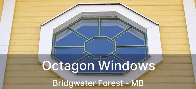 Octagon Windows Bridgwater Forest - MB