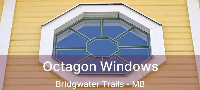  Octagon Windows Bridgwater Trails - MB