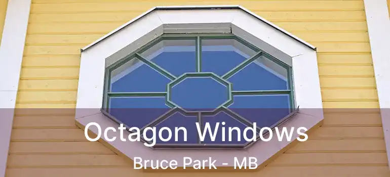  Octagon Windows Bruce Park - MB