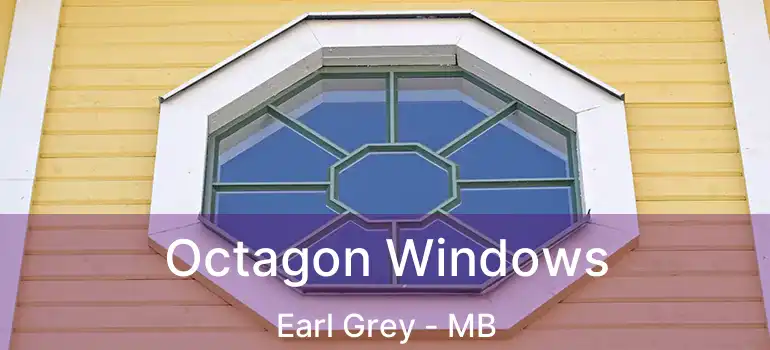 Octagon Windows Earl Grey - MB