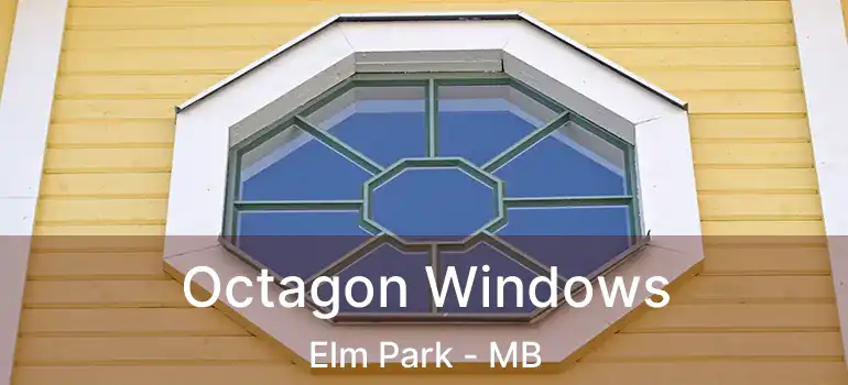  Octagon Windows Elm Park - MB