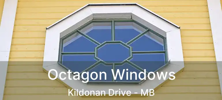  Octagon Windows Kildonan Drive - MB
