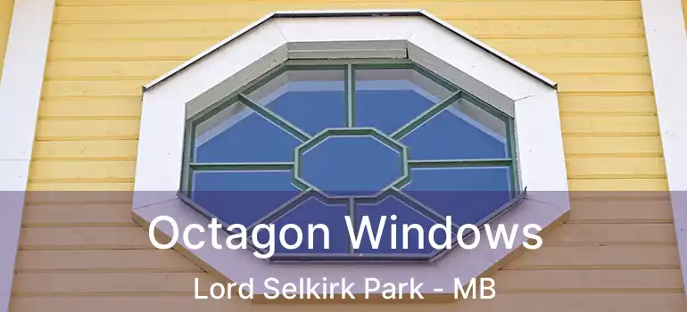 Octagon Windows Lord Selkirk Park - MB