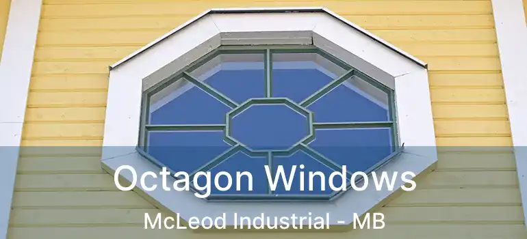 Octagon Windows McLeod Industrial - MB