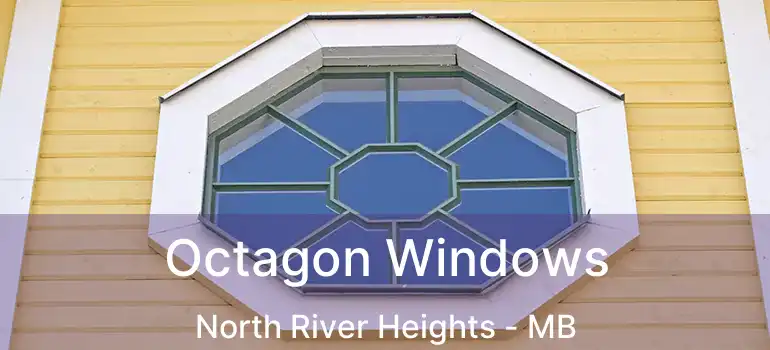 Octagon Windows North River Heights - MB