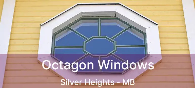 Octagon Windows Silver Heights - MB