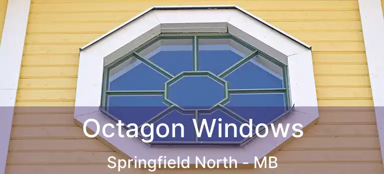 Octagon Windows Springfield North - MB