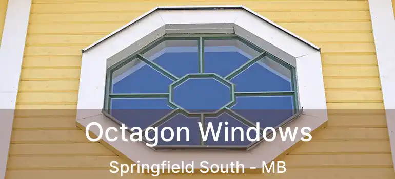 Octagon Windows Springfield South - MB