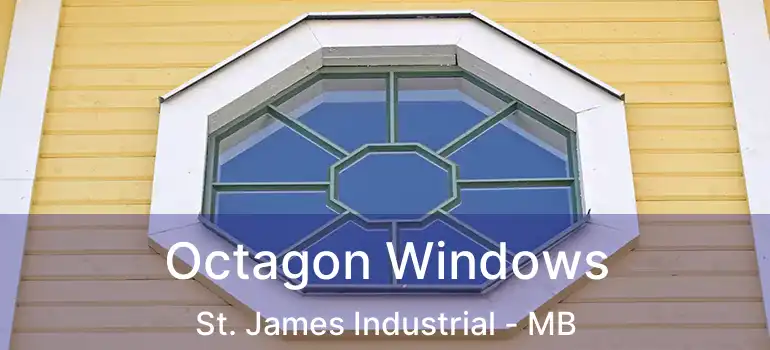  Octagon Windows St. James Industrial - MB