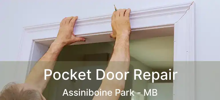 Pocket Door Repair Assiniboine Park - MB