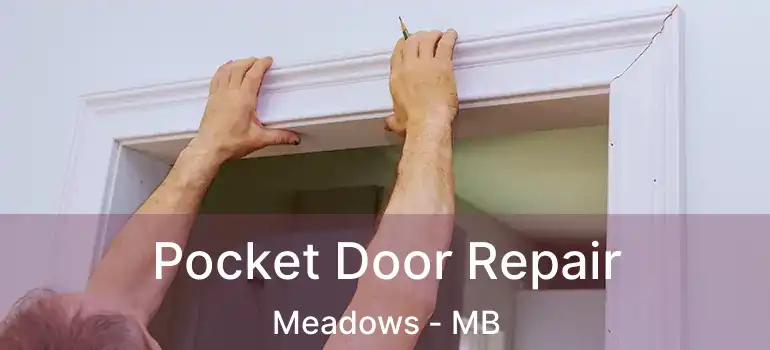  Pocket Door Repair Meadows - MB