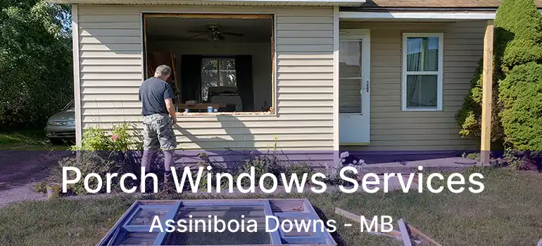  Porch Windows Services Assiniboia Downs - MB