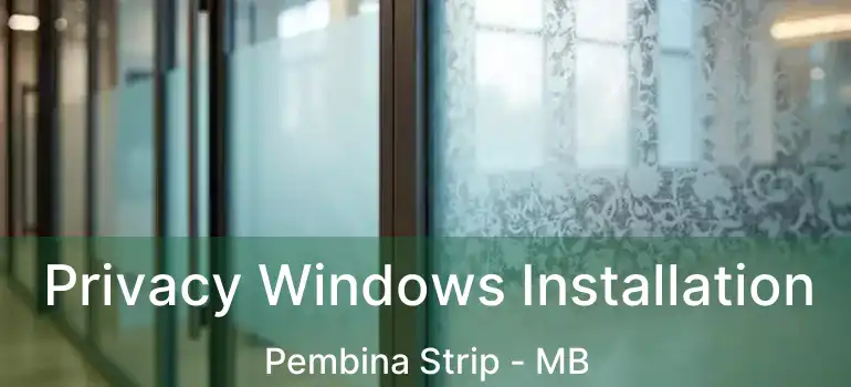  Privacy Windows Installation Pembina Strip - MB