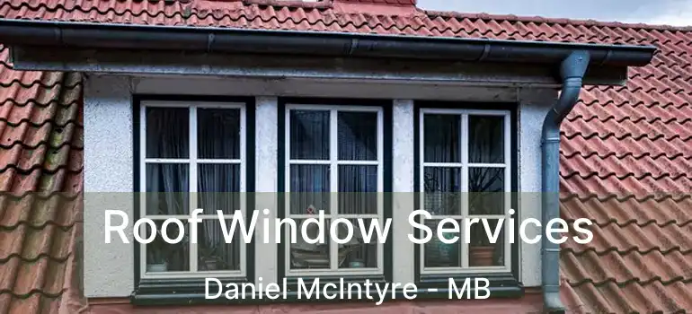  Roof Window Services Daniel McIntyre - MB