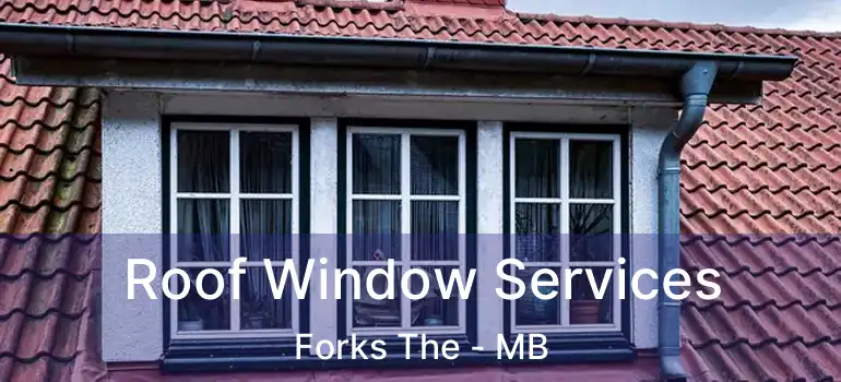 Roof Window Services Forks The - MB