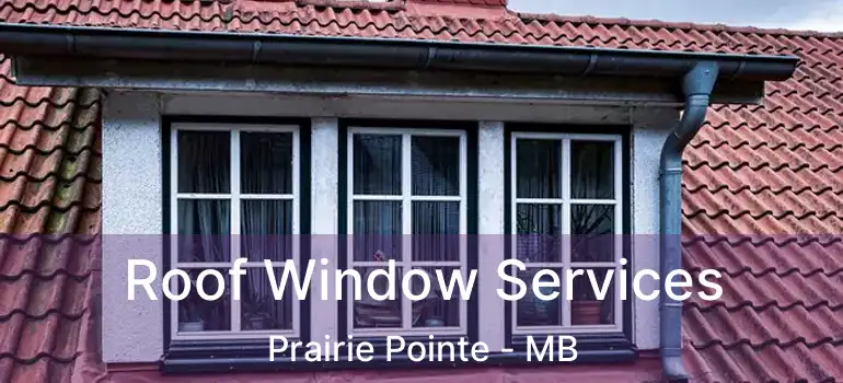  Roof Window Services Prairie Pointe - MB