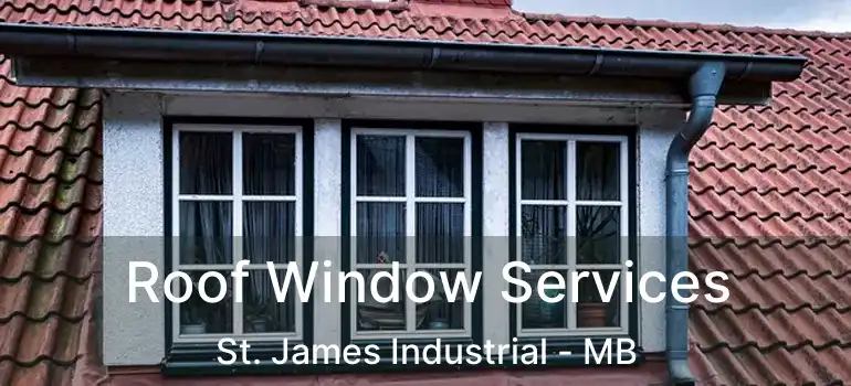 Roof Window Services St. James Industrial - MB
