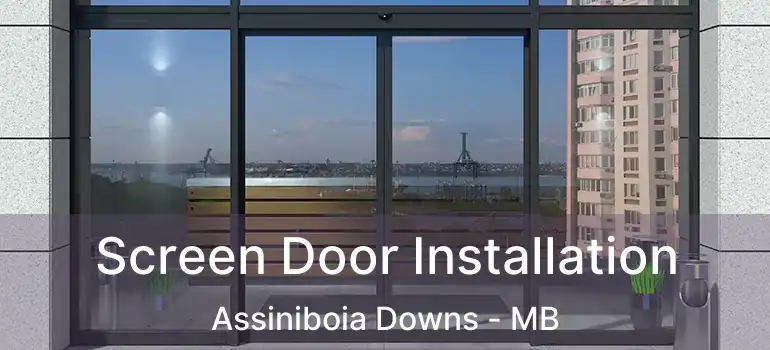 Screen Door Installation Assiniboia Downs - MB