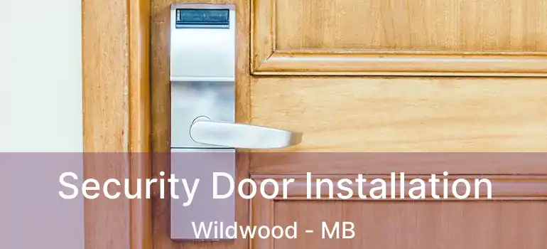 Security Door Installation Wildwood - MB