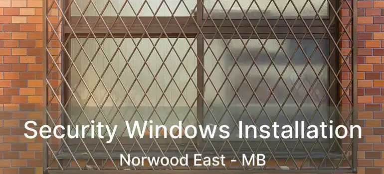 Security Windows Installation Norwood East - MB