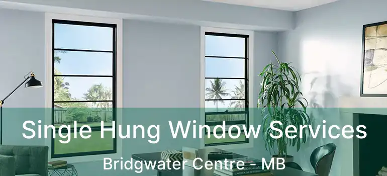 Single Hung Window Services Bridgwater Centre - MB